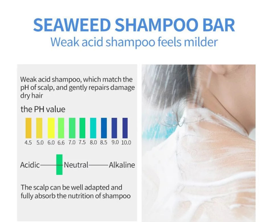 PURC Seaweed Shampoo Bar